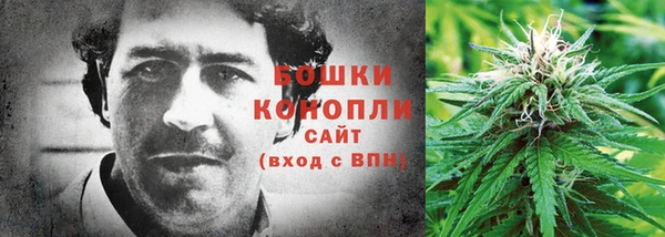 МДПВ Ветлуга