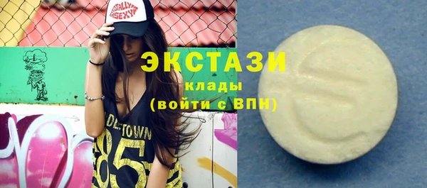 мдпв Весьегонск